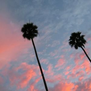 Meet your Posher, Jojo